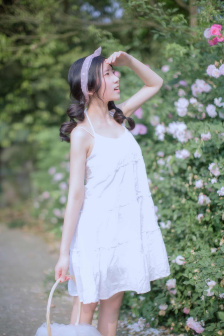 野花视频在线观看免费完整版